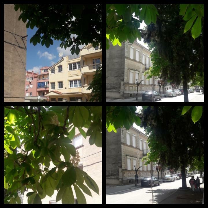 Apartment Voortex Trebinje Esterno foto